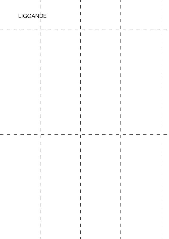 Hylletikettark Liggande A4