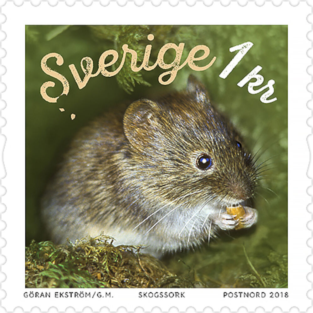 Tilläggsfrimärke Skogssork 1 kr