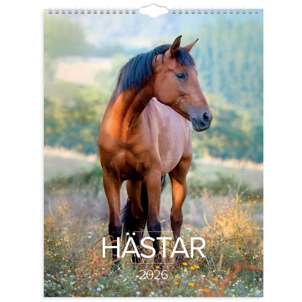 Stora Hästkalendern vägg 2026 Burde