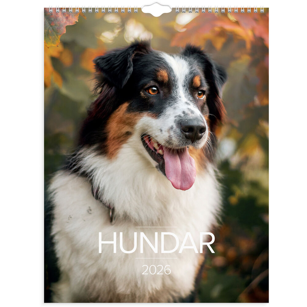 Stora Hundkalendern vägg 2026 Burde