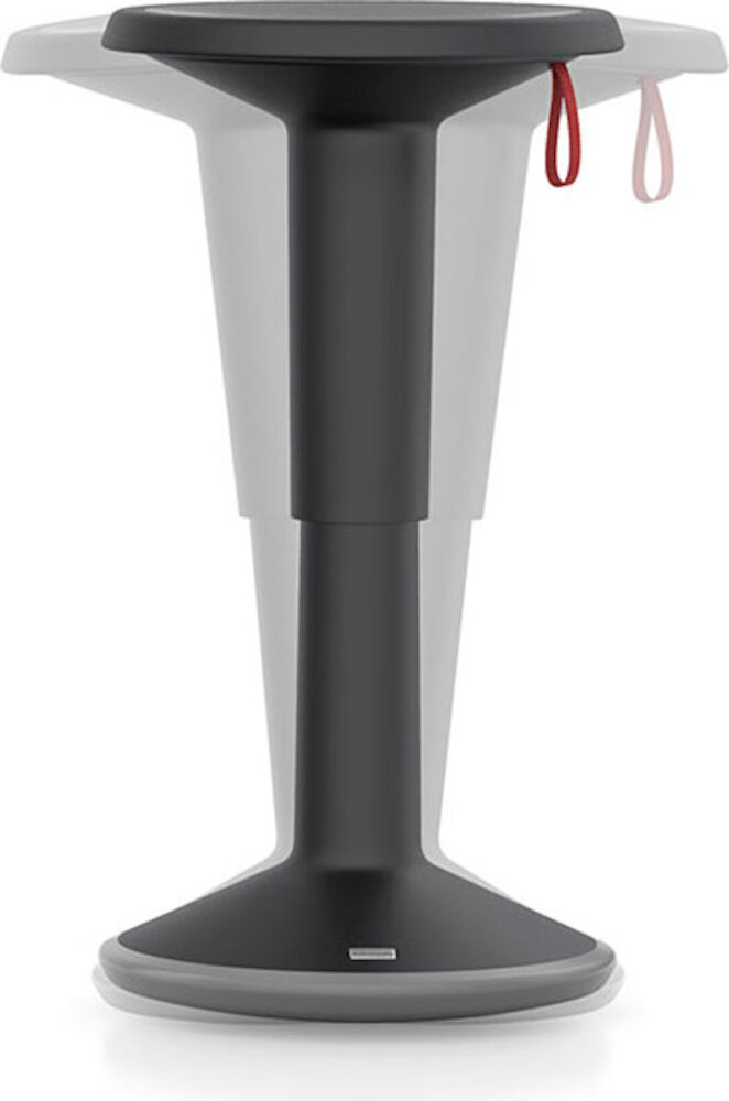 Balanspall / Sittpall UPis1