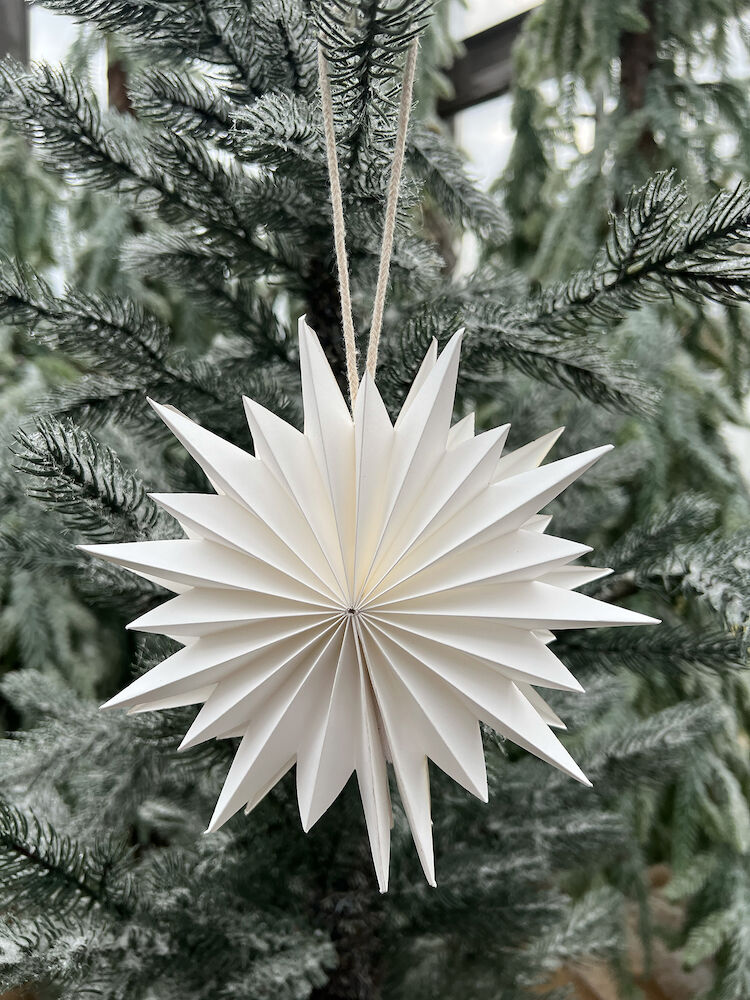 Stjärna papper Vit 1-pack