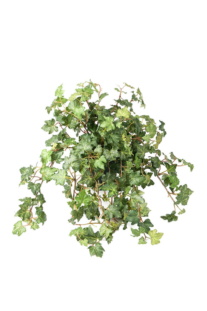 Konstväxt Murgröna 450